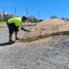 Loksand Root Zone System