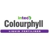 ISP Intec Colourphyll 