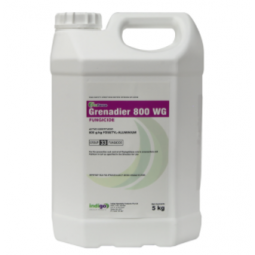 Centaur Asia Pacific | Fungicides
